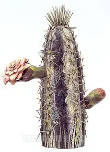 Kejriwal, Suhasini (Artist). Untitled, 2004 | Sculpture