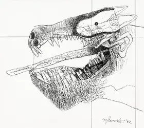 Pyne, Ganesh (Artist). Untitled (The Beast), 1982 | Drawing