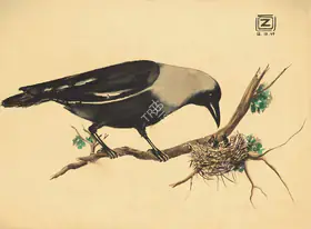 Abedin, Zainul (Artist). Crow, 1949 | Painting