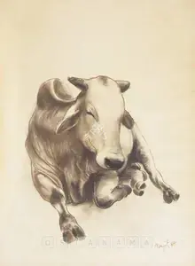 Bawa, Manjit (Artist). Study Of Cow, 1988 | Drawing
