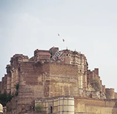 Jodhpur