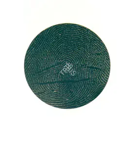 Balasubramaniam, A. (Artist). Limited From Unlimited-R, 2000 | Painting