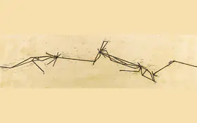Zarina Hashmi