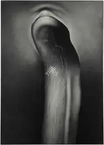 Broota, Rameshwar (Artist). Metamorphosis- (III), 1985 | Painting