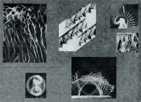 Unknown (Photographer). Untitled, n.d. | Contemporary Photograph