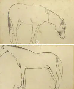 Sher-Gil, Amrita (Artist). Study of a Horse, n.d. | Drawing