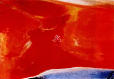 Shreshtha, Laxman (Artist). Painting In Red, n.d. | Painting