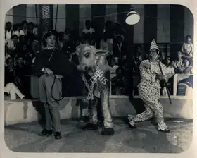 Wadadeker, Anant (Cinematographer), Circuswale, 1950 | Photographic Still