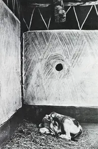 Bhatt, Jyoti (Photographer). Village Cowshed, Madhya Pradesh, 1983 | Contemporary Photograph