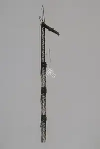 Sharma, Nataraj (Artist). Construction (Crane 2), 2005 | Graphic Art