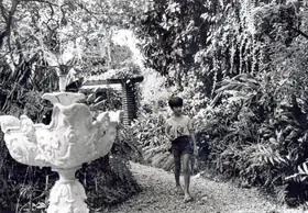 Roy, Soumendu (Cinematographer), Pikoo, 1980 | Photographic Still | CinemaEducation | 00663504