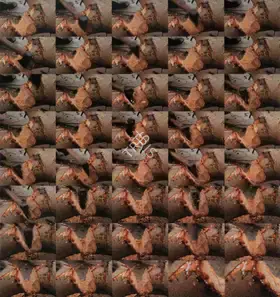 Bhalla, Atul (Artist). Sap, 2007 | Print