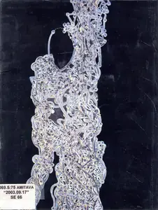 Das Amitava Artist Amitava 2003 Solo Exhibition Catalogue 00876230