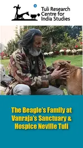 Tuli Research Centre for India Studies (Editor). The Beagle's Family at Vanraja's Sanctuary & Hospice: Neville Tuli, 13 May 2025 | In-house Video