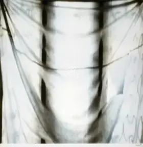 Bhaskar, Binu (Artist). Absence Of White Lies, 2006-2007 | Print