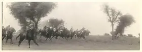 Nihalani, Govind (Cinematographer), Junoon, 1979 | Photographic Still
