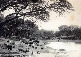 Vakil, Madanrai (Director), Noor E Iman, 1933 | Photographic Still