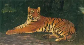 Muller, A.H. (Artist). Tiger, n.d. | Painting