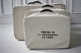 Gupta, Shilpa (Artist). There Is No Explosive In This - Room Series, 2007 | Print
