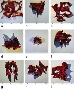 Joshi, Anant (Artist). Aorta, 2006 | Print