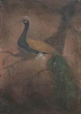 Tagore, Abanindranath (Artist). Peacock, c.1922-1923 | Painting