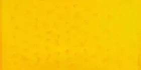 Akhilesh (Artist). Untitled, 2006 | Painting
