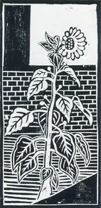 Mittal, Kamala (Artist). Sunflower, n.d. | Graphic Art
