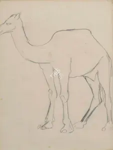 Sher-Gil, Amrita (Artist). Sketch of a Camel, 1941 | Drawing