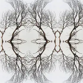 Khanna, Karan (Artist). The Butterfly & The Alien, 2021 | Print