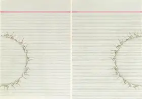 Khalid, Aisha (Artist). Divided, 2006 | Painting