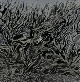Kher, Bharti (Artist). Rugged Terrain, 2007 | Collage