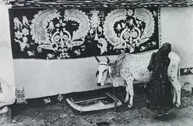 Bhatt, Jyoti (Photographer). Woman Decorating Ox, Rajasthan, 1988 | Contemporary Photograph