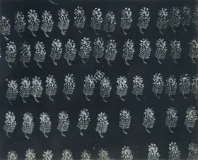 Unknown (Artist). An Indigo Dyed Village Cloth, n.d. | Textile