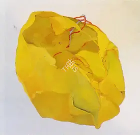 Prakash, Surya (Artist). Untitled, 1974 | Painting