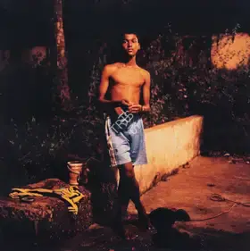 Singh, Dayanita (Artist). Dream Villa 7, 2007-2008 | Print