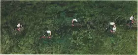 Upadhyay, Hema (Artist). Of Vanishing Playgrounds, 2001 | Graphic Art