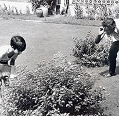 Pikoo 1980