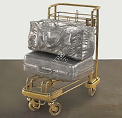 Subodh Gupta