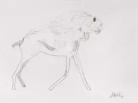 Shah, Himmat (Artist). Untitled, n.d. | Drawing