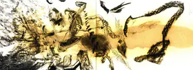 Sundaram, Vivan (Artist). Limbs Fragments, 1991 | Painting