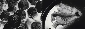 Dube, Anita (Artist). Prelude (Grave And A Map), 2005 | Print