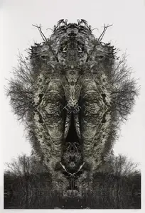Sopariwala, Ronak (Artist). A Poetic Chaos, 2021 | Print