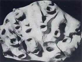 Sehgal, Amar (Artist). Anguished Cries, n.d. | Sculpture