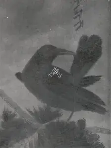 Tagore, Abanindranath (Artist). Crow, n.d. | Painting