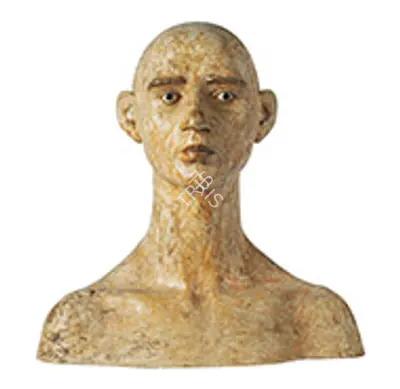 Dhruva Mistry