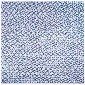 Broota, Shobha (Artist). Orchestra I, 2003 | Painting