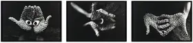 Dube, Anita (Artist). Offering (Triptych), 2000-2006 | Installation