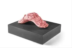 Ranade, Dilip (Artist). Creepy Tongues, 2003 | Sculpture
