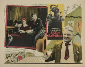 Griffith, D.W. (Director), Sally of the Sawdust, 1925 | Lobby card