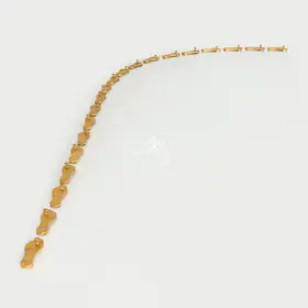 Pushpamala (Artist). Lakshmana Rekha, 1996 | Installation